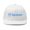 Fantom Snapback Hat