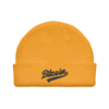 Bitcoin Baseball Fisherman Beanie