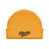 Bitcoin Baseball Fisherman Beanie