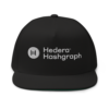 Hedera Hashgraph Snapback Hat