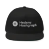 Hedera Hashgraph Snapback Hat