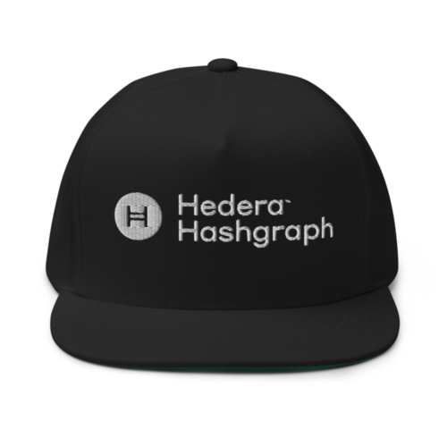 Hedera Hashgraph Snapback Hat