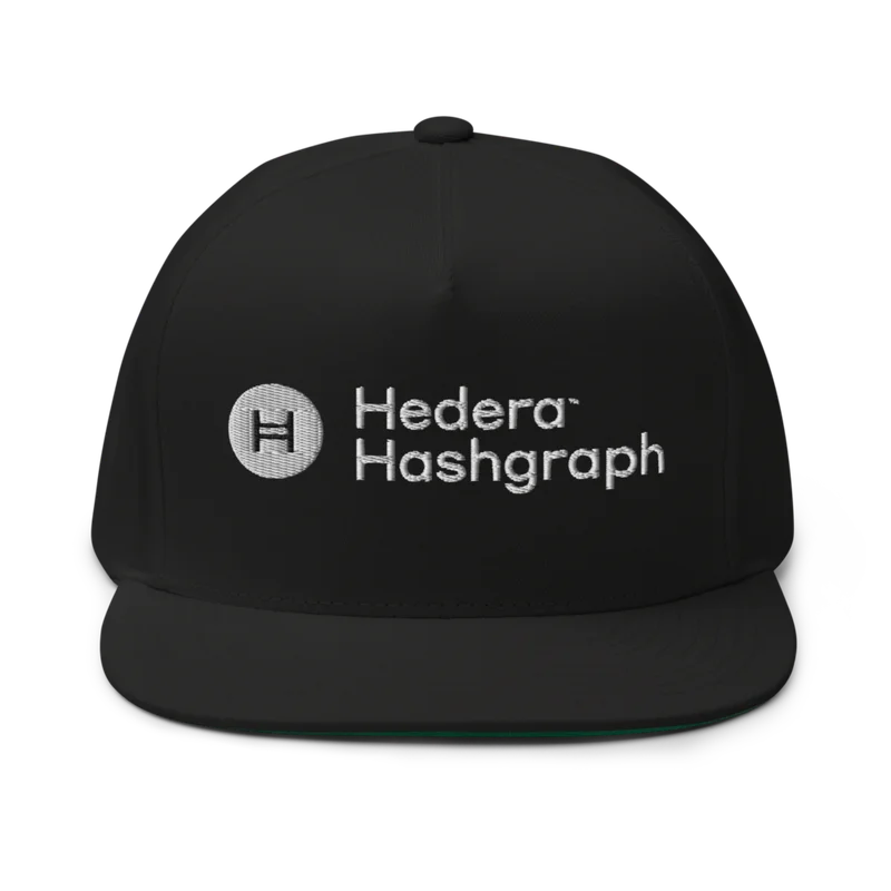 Hedera Hashgraph Snapback Hat