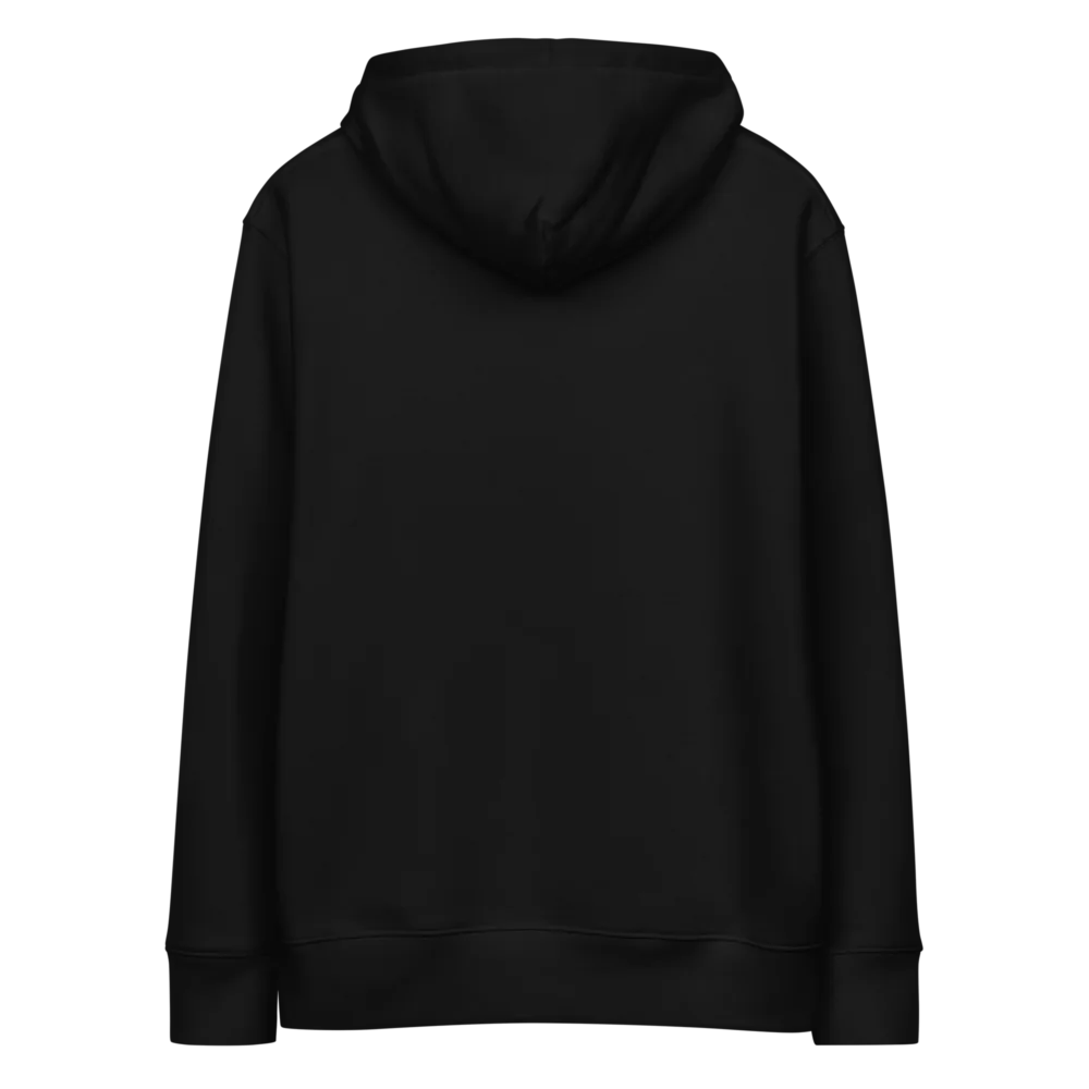 Kaspa Premium Hoodie - Image 4