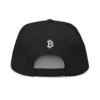 Bitcoin 2009 Snapback Hat