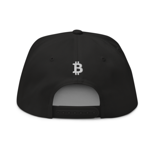 Bitcoin 2009 Snapback Hat