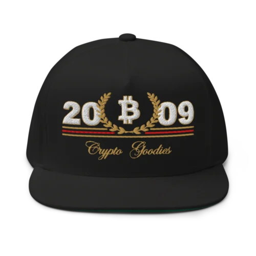 Bitcoin 2009 Snapback Hat