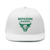 Bitcoin Bull Snapback Hat