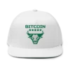Bitcoin Bull Snapback Hat