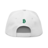 Bitcoin Bull Snapback Hat