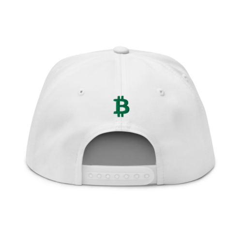 Bitcoin Bull Snapback Hat
