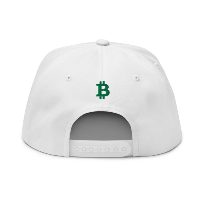 Bitcoin Bull Snapback Hat