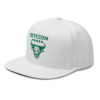 Bitcoin Bull Snapback Hat
