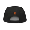 Bitcoin: Disobey Snapback Hat