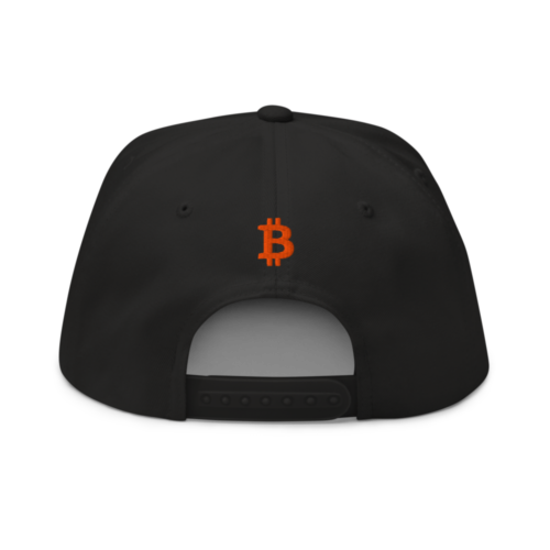Bitcoin: Disobey Snapback Hat