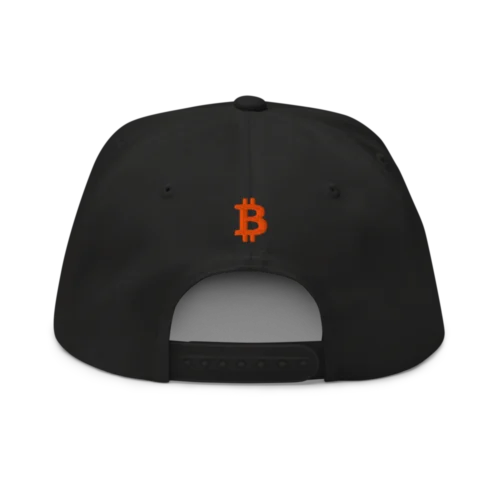 Bitcoin: Disobey Snapback Hat