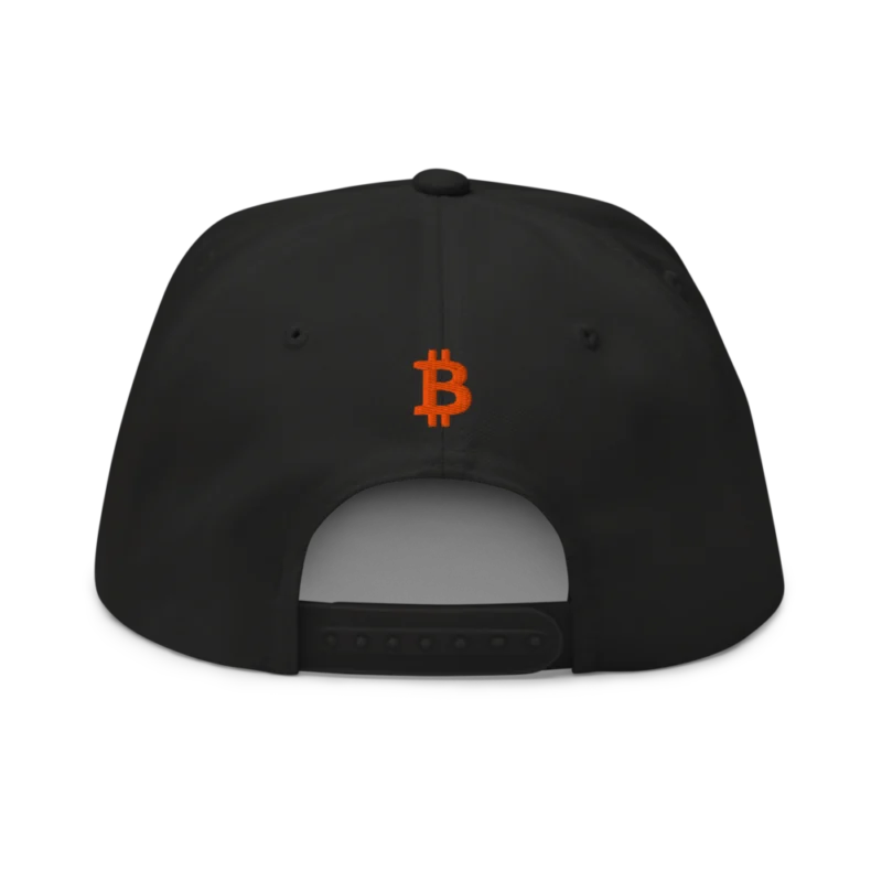 Bitcoin: Disobey Snapback Hat