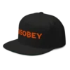 Bitcoin: Disobey Snapback Hat