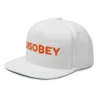 Bitcoin: Disobey Snapback Hat
