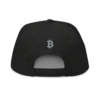 Bitcoin Flag Snapback Hat
