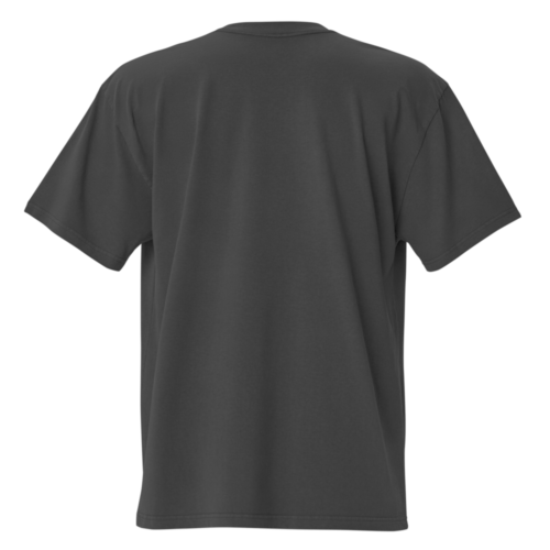 Bitcoin Hero Oversized T-Shirt