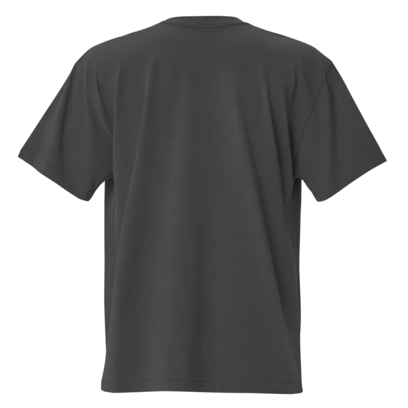 Bitcoin Hero Oversized T-Shirt