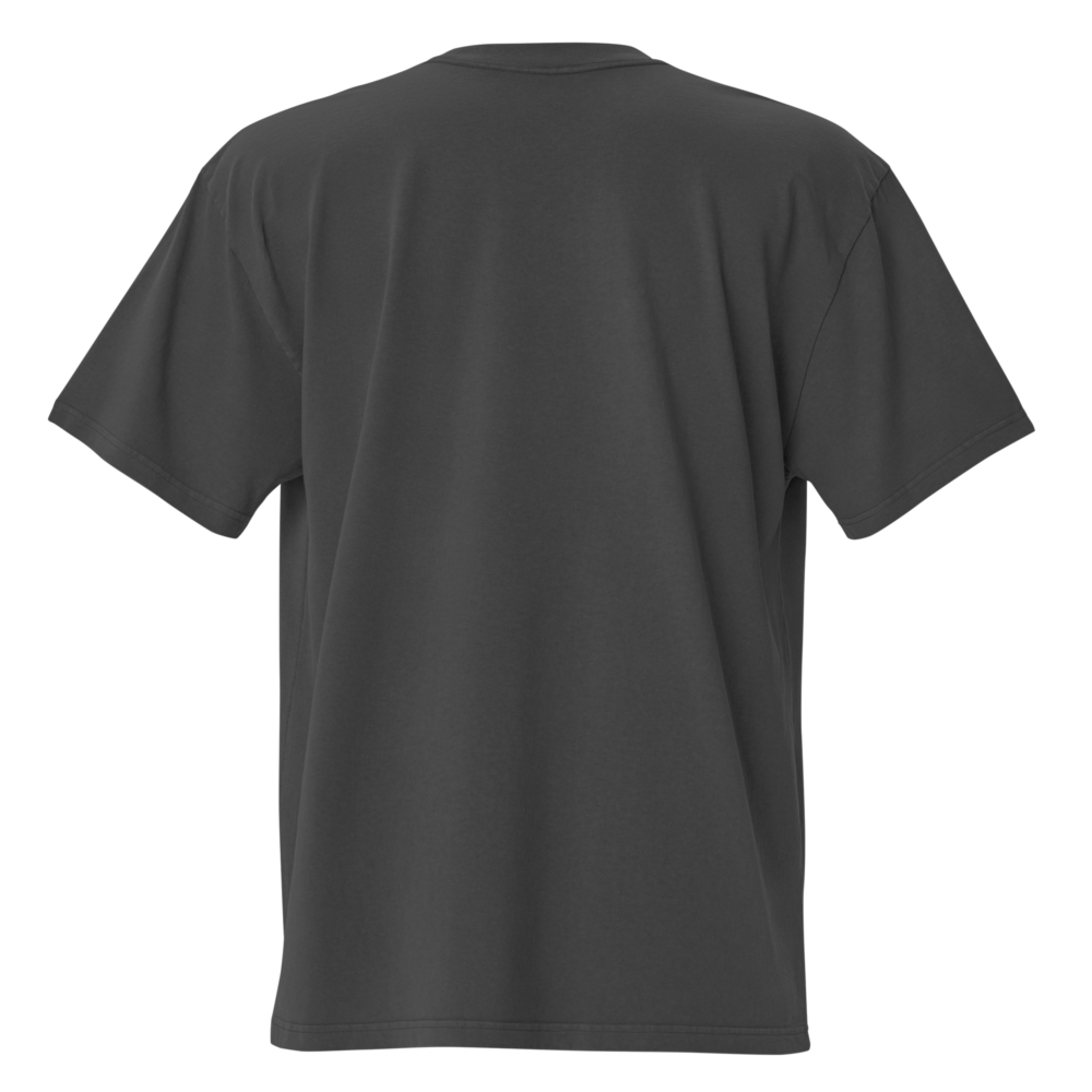 Bitcoin Hero Oversized T-Shirt