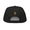 Bitcoin: London Snapback Hat