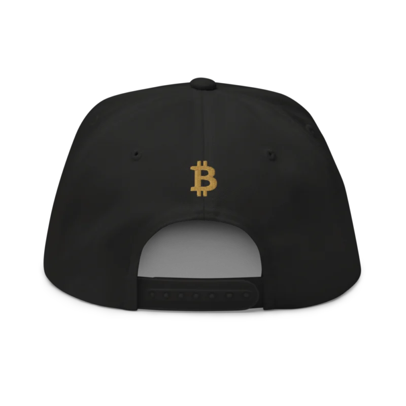 Bitcoin: London Snapback Hat
