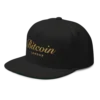 Bitcoin: London Snapback Hat