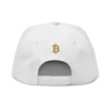 Bitcoin: London Snapback Hat