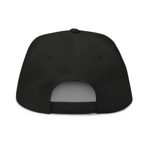 Bitcoin Paris Snapback Hat