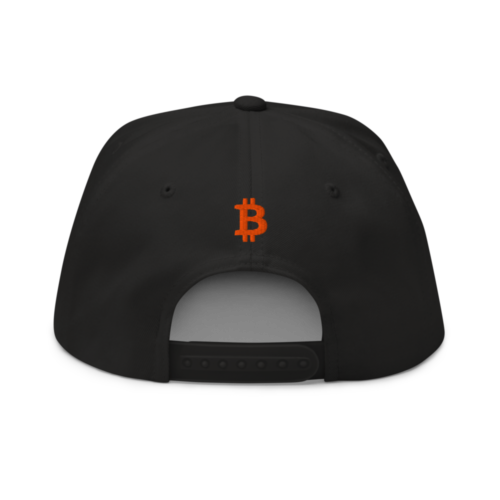 Bitcoin: Think Big Snapback Hat