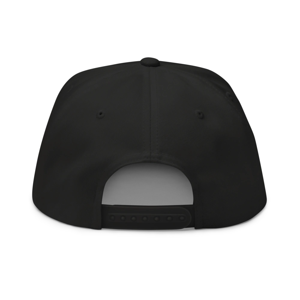 Crypto Snapback Hat