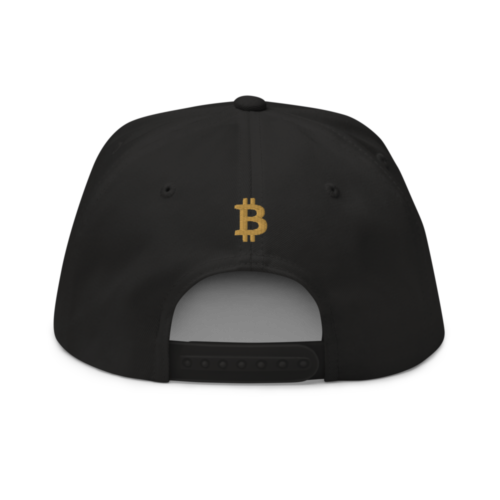 Satoshi Fashion Snapback Hat