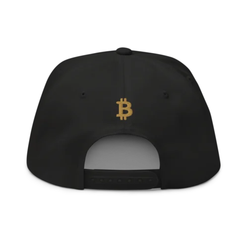 Satoshi Fashion Snapback Hat