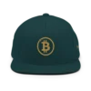 BTC: Team Bitcoin Snapback Hat