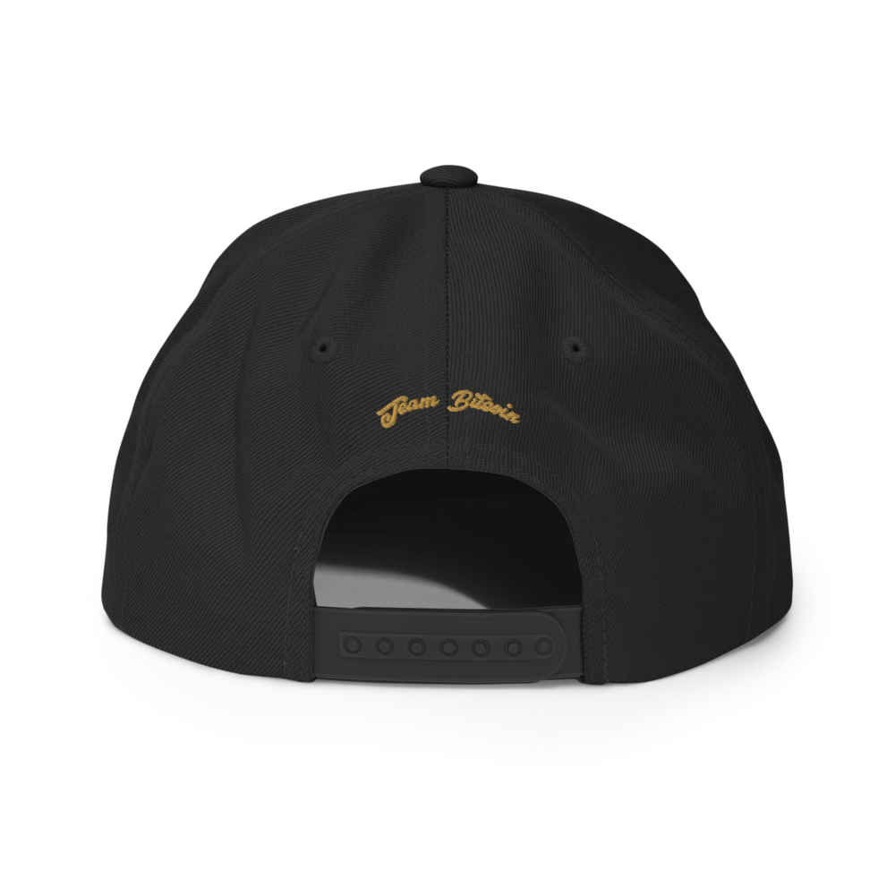 BTC: Team Bitcoin Snapback Hat