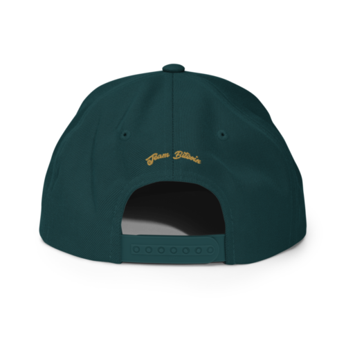 BTC: Team Bitcoin Snapback Hat
