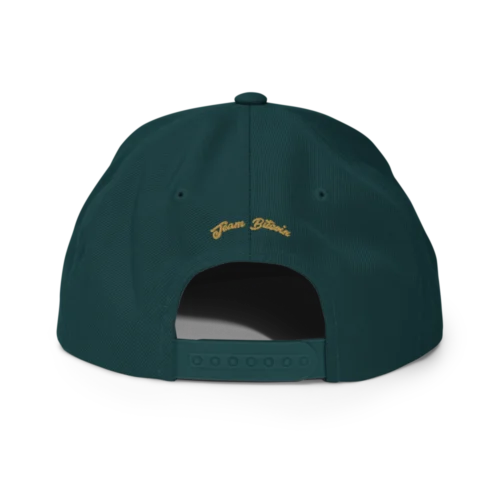 BTC: Team Bitcoin Snapback Hat