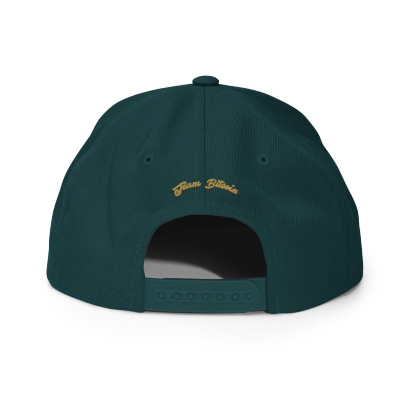 BTC: Team Bitcoin Snapback Hat