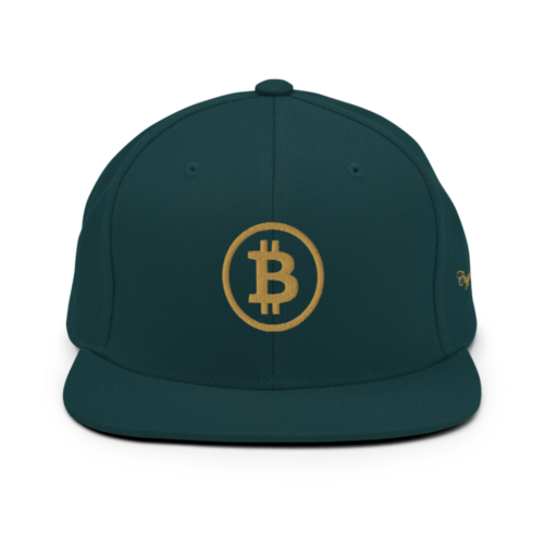 BTC: Team Bitcoin Snapback Hat