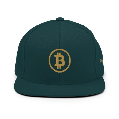 BTC: Team Bitcoin Snapback Hat
