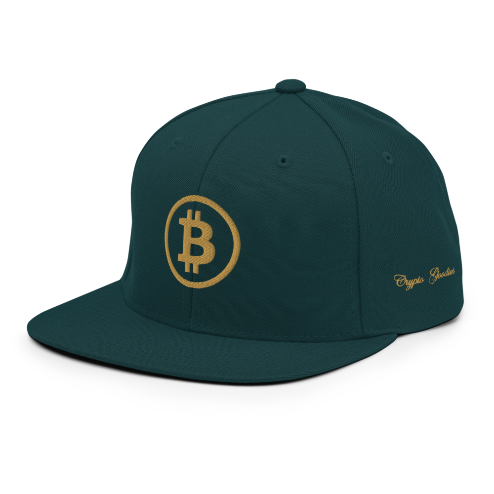 BTC: Team Bitcoin Snapback Hat