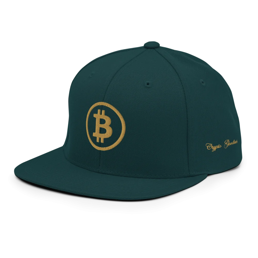 BTC: Team Bitcoin Snapback Hat - Image 3