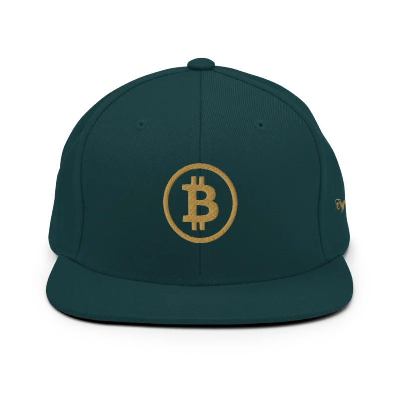 BTC: Team Bitcoin Snapback Hat