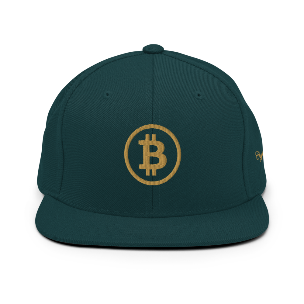 BTC: Team Bitcoin Snapback Hat