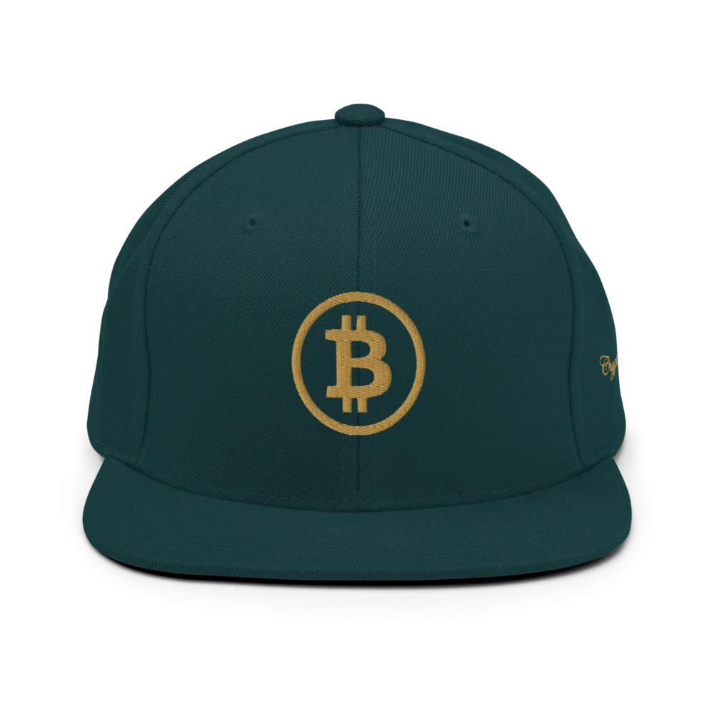 BTC: Team Bitcoin Snapback Hat