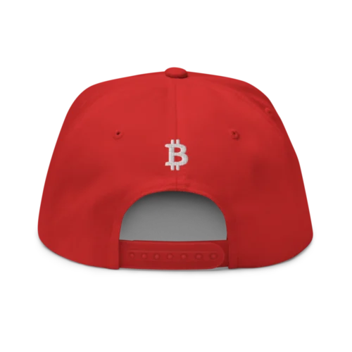 Buy More BTC Snapback Hat