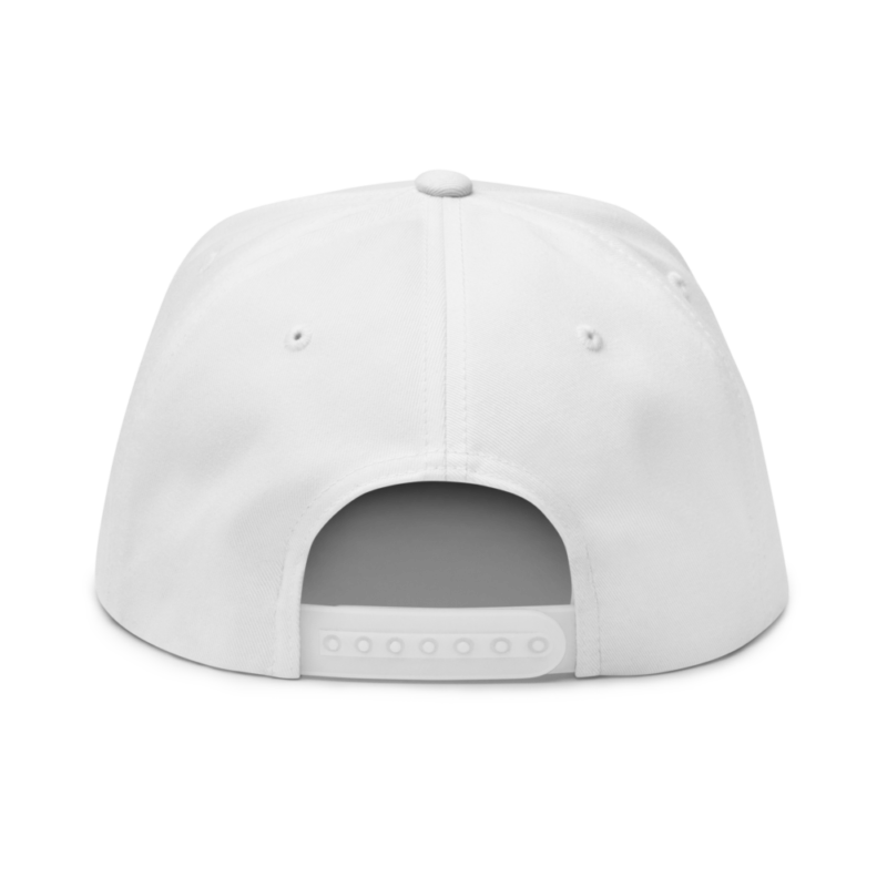 Crypto Dealer Snapback Hat